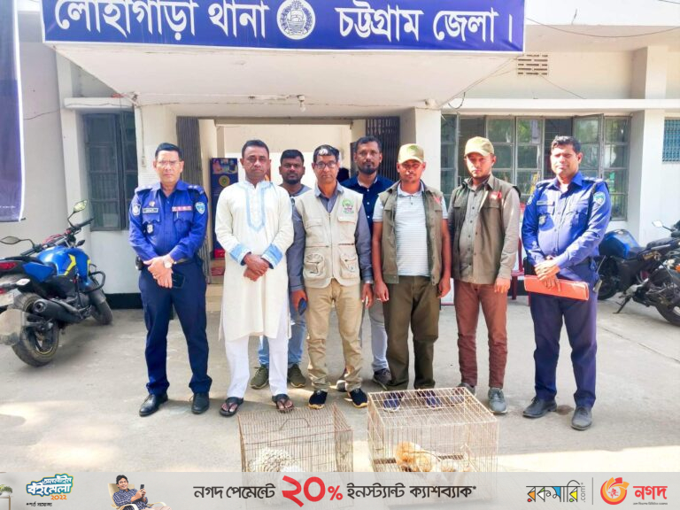 বিরল প্রজাতির তুষার পেঁচা ও লজ্জাবতী বানর উদ্ধার, আটক ৪