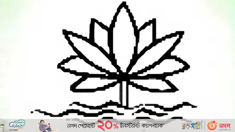 শাপলা প্রতীক পাচ্ছে না এনসিপি!