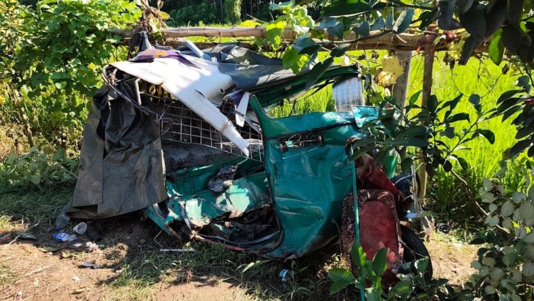 ১২ বছরে ৬৭,৮৯০ সড়ক দুর্ঘটনায় ১ লাখ ১৬ হাজার ৭২৬ জন নিহত 