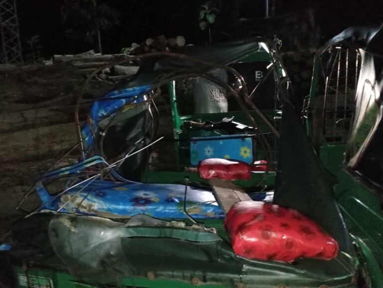 রাঙামাটিতে বন্যহাতির আক্রমনে হতাহত ২