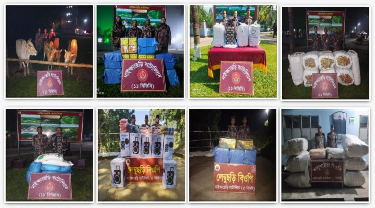 নাইক্ষ্যংছড়ি সীমান্তে বার্মিজ গরুসহ বাংলাদেশি মালামাল জব্দ