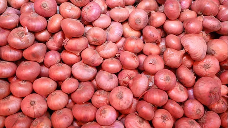 আমদানির পরও কমছেনা পেঁয়াজের দাম 