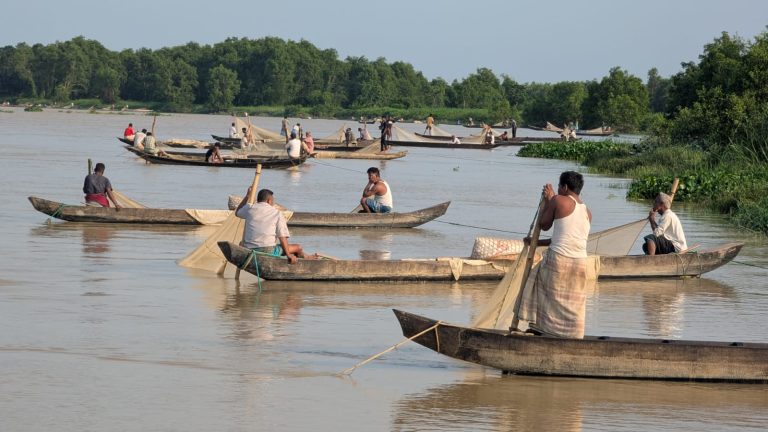 হালদা নদীতে ডিম ছেড়েছে মা মাছ